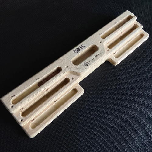 Fingerboard Lunatic