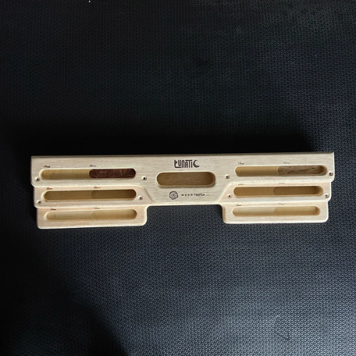 Fingerboard Lunatic