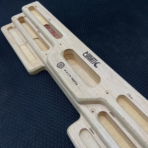 Fingerboard Lunatic